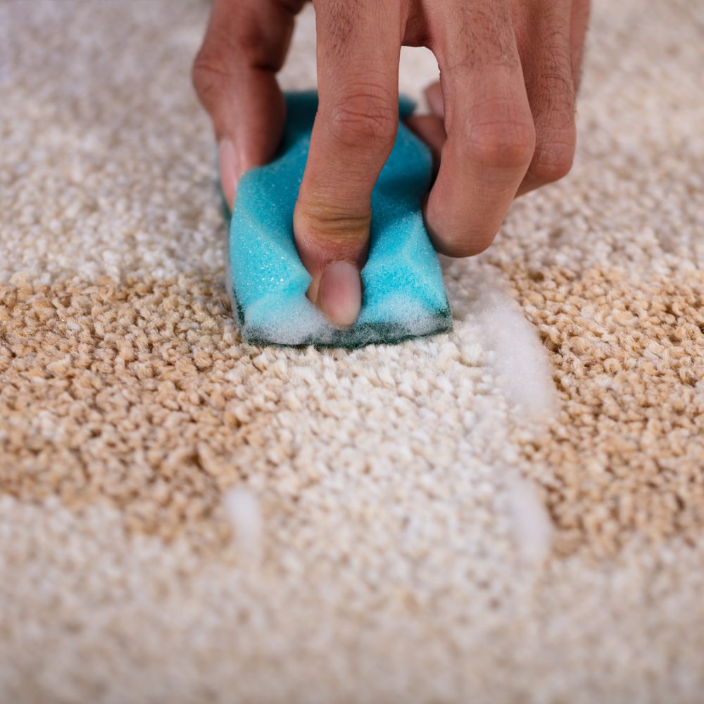 Janitor Cleaning Stain On Carpet With Sponge